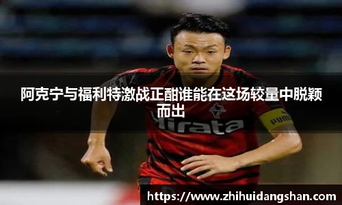 阿克宁与福利特激战正酣谁能在这场较量中脱颖而出