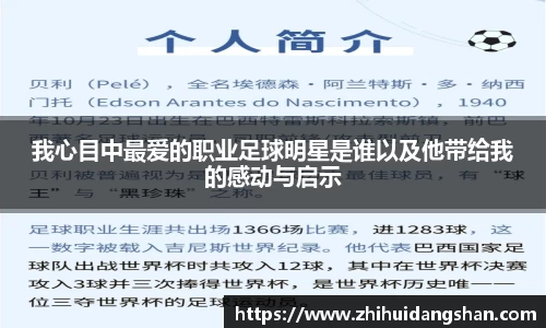 我心目中最爱的职业足球明星是谁以及他带给我的感动与启示